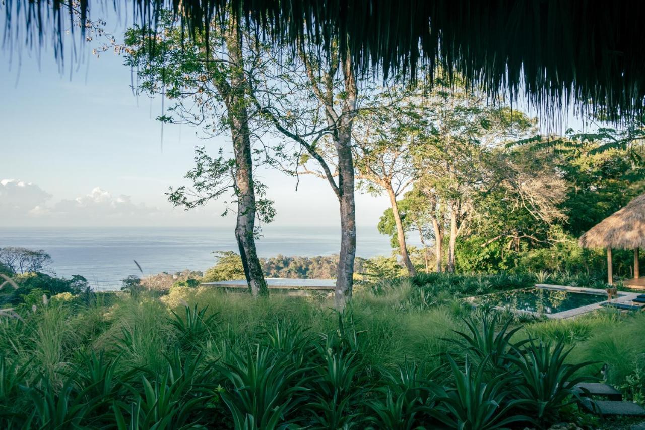 Thea Resort & Retreats - Santa Teresa Playa Santa Teresa  ภายนอก รูปภาพ