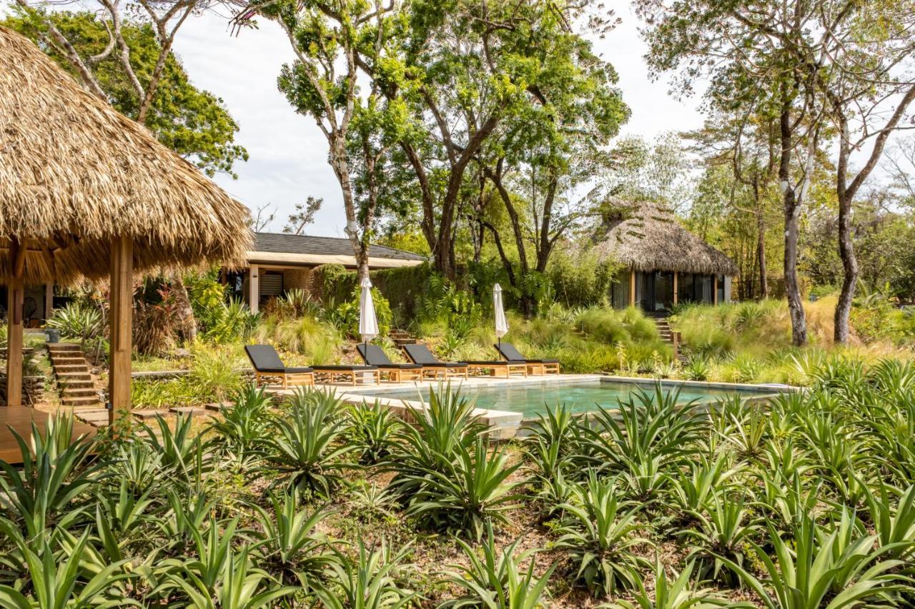 Thea Resort & Retreats - Santa Teresa Playa Santa Teresa  ภายนอก รูปภาพ